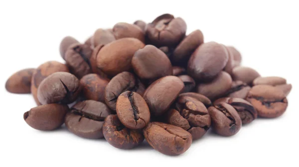 Roasted coffee beans — Stock Photo, Image