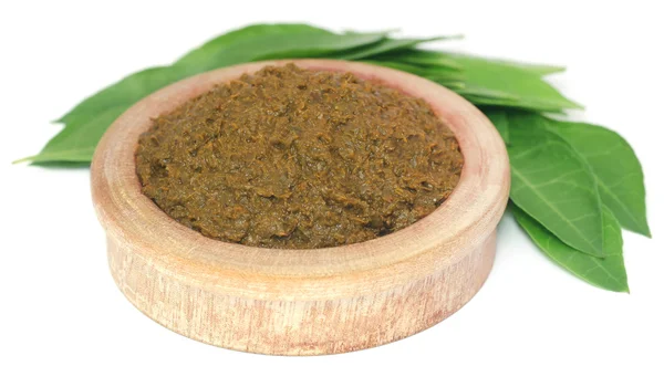 Ayurvedic henna leaves with paste — Stok Foto