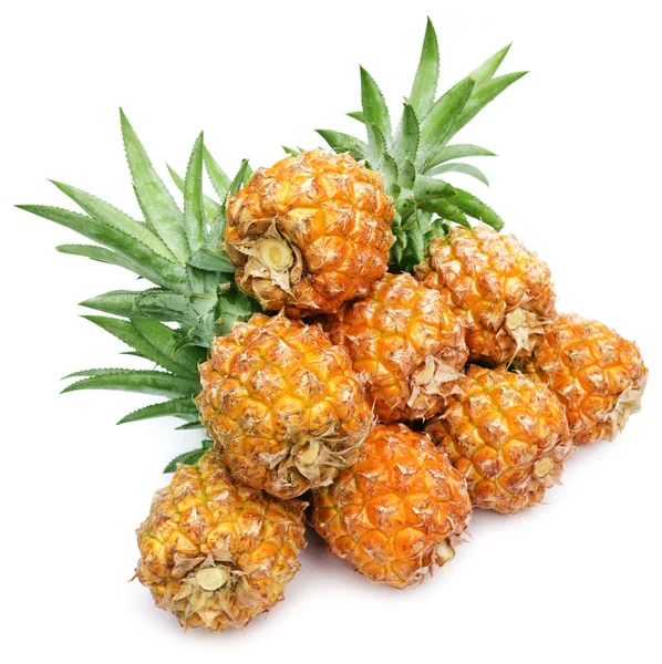 Populära honey queen ananas — Stockfoto