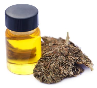 Şişesinde özüt yağ bulunan tıbbi esrar.