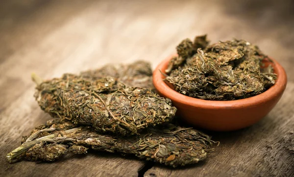Close up de cannabis medicinal — Fotografia de Stock