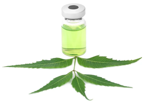 Medicinal neem leaves with a vial — Stock Photo, Image