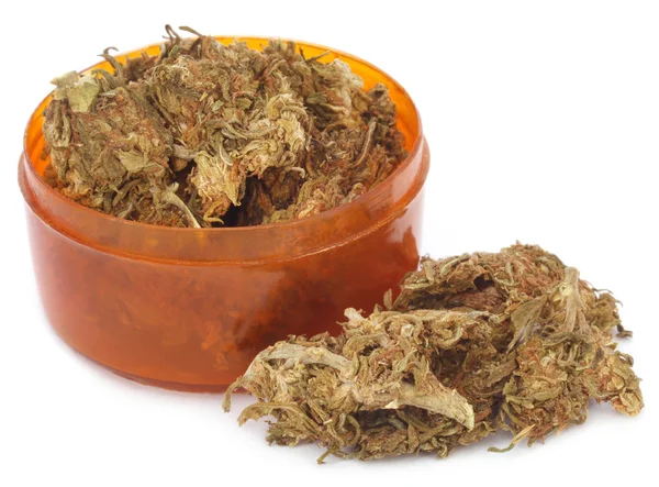 Medicinale cannabis of marihuana — Stockfoto