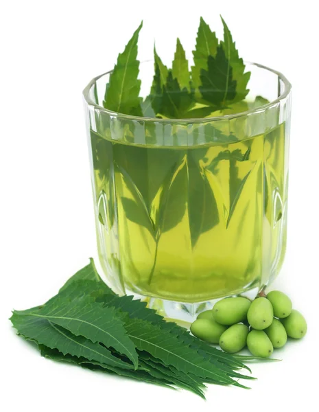 Léčivé neem extraktu s plody a listy — Stock fotografie