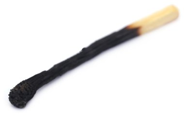 Burnt kibrit çöpü yakın çekim