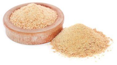 Ferula assafoetida yakın çekim