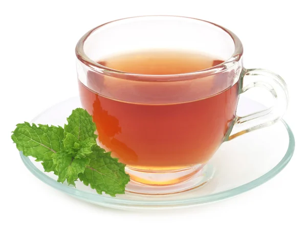 Травяной чай в чашке с мятными листьями — стоковое фото