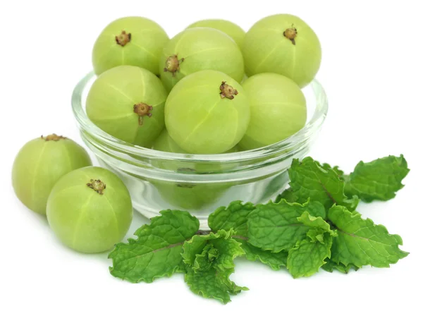 Amla fruits with mint leaves — Φωτογραφία Αρχείου