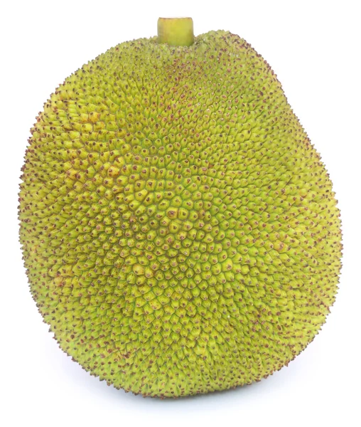 Primer plano de Jackfruit — Foto de Stock