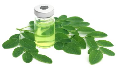 Hulâsa bir şişe içinde yapraklarla Moringa