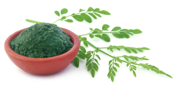 Hojas comestibles de moringa con pasta molida — Foto de Stock