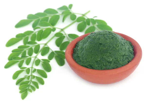 Edible moringa leaves with ground paste — Stock Photo, Image