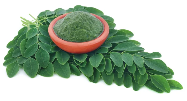 Hojas comestibles de moringa con pasta molida — Foto de Stock