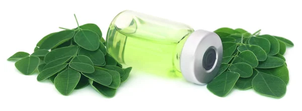 Moringa Blätter mit Extrakt in einem Fläschchen — Stockfoto