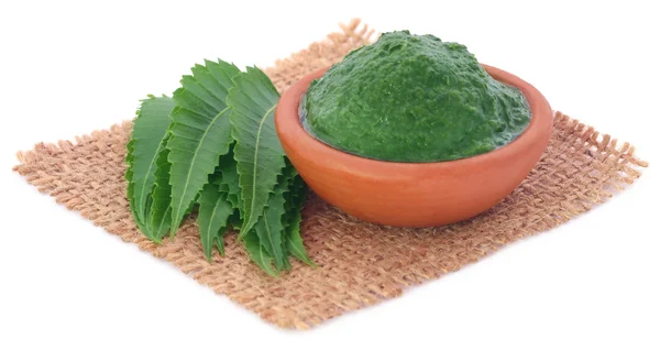 Hojas medicinales de neem con pasta molida —  Fotos de Stock