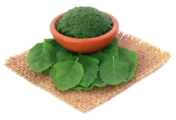 Medicinal holy basil with ground paste — Stockfoto