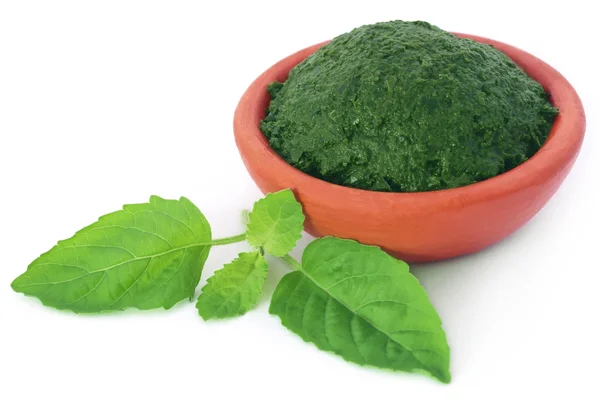 Medicinal holy basil with ground paste — Stockfoto