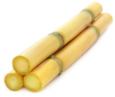 Şeker kamışı parçası