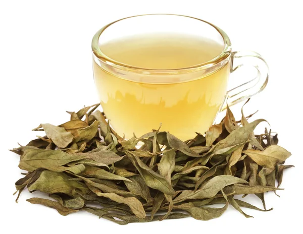 Quirata medicinal con té de hierbas — Foto de Stock