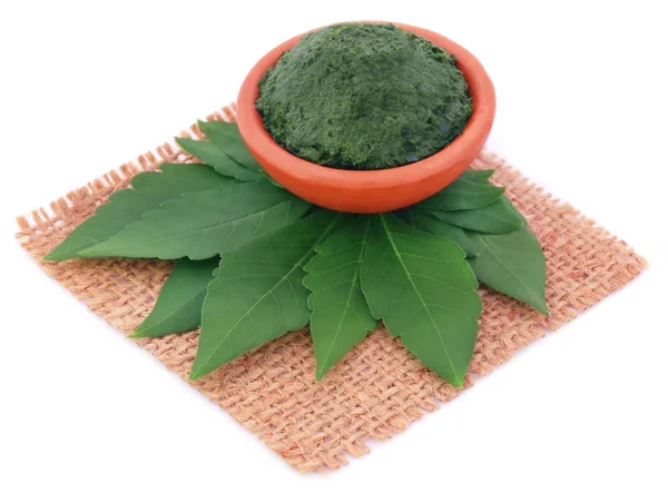 Vitex Negundo ou feuilles de Nishinda médicinales avec de la pâte — Photo