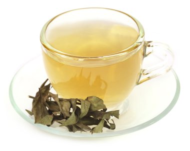 Ayurveda şifalı bitki çayı ile Chirata