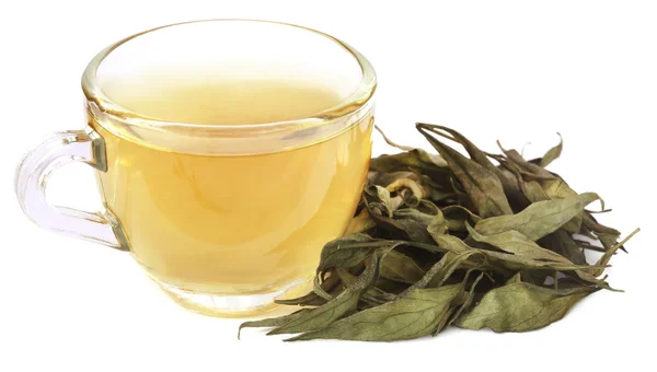 Chirata medicinal ayurvédica con té de hierbas — Foto de Stock