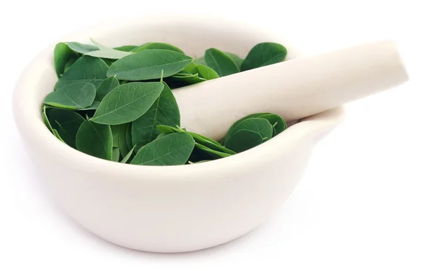 Hojas comestibles de moringa en un mortero con mortero —  Fotos de Stock