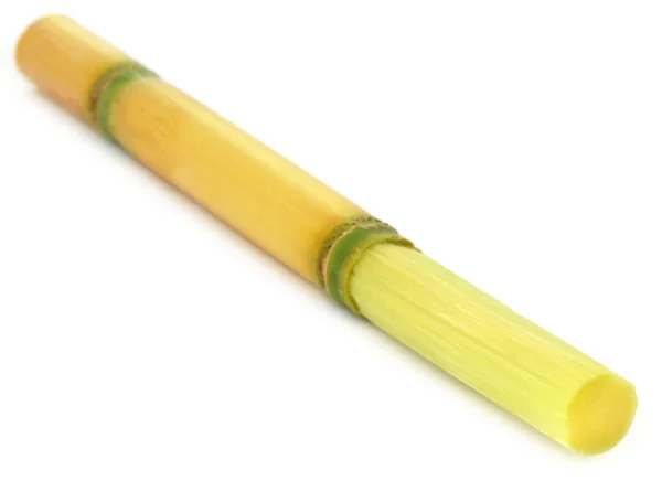 Closeup of sugarcane — Stock Photo, Image