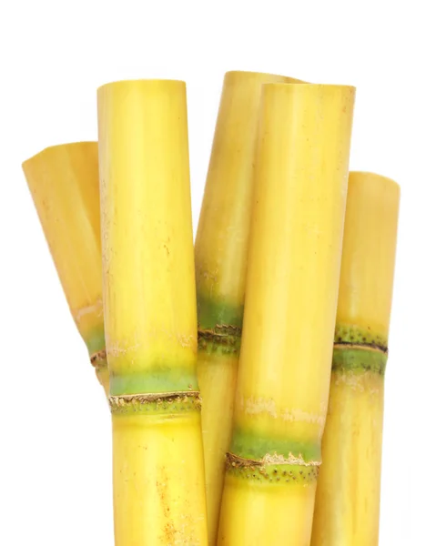 Closeup of sugarcane — Stock fotografie