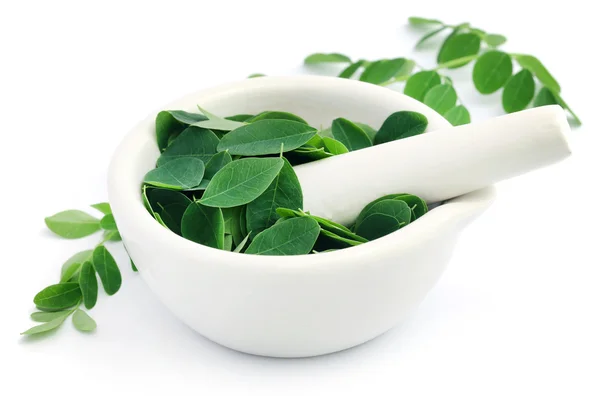 Feuilles de moringa comestibles avec mortier et pilon — Photo