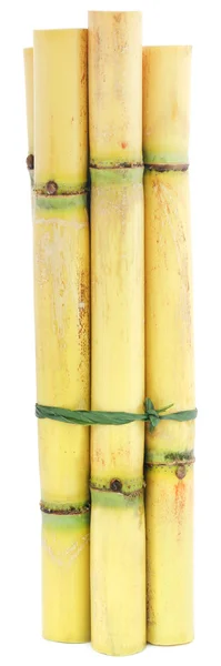 Куски сахарного тростника — стоковое фото