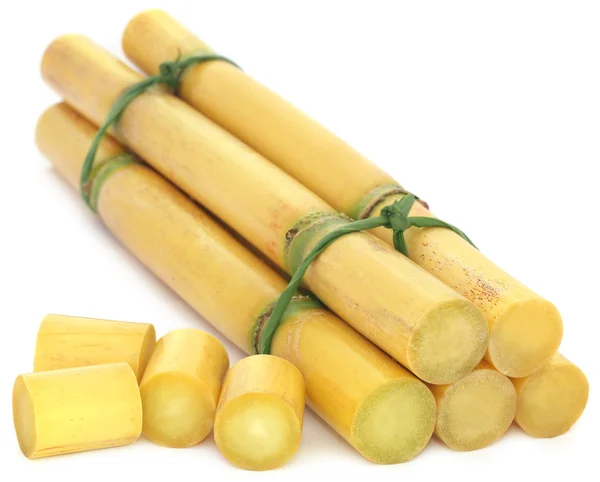 Pieces of sugarcane — Stock Photo, Image