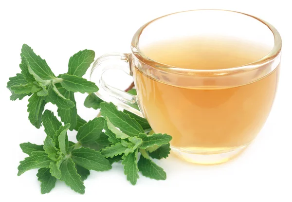 Kräutertee in einer Tasse mit Steviablättern — Stockfoto