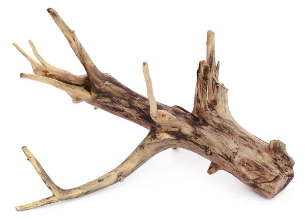 Närbild av Driftwood — Stockfoto