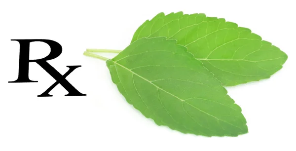 Tulsi leaves as medicine — Stock Photo, Image