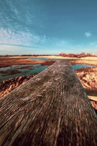 Shoj Danimarka Nın Doğal Park Alanı — Stok fotoğraf