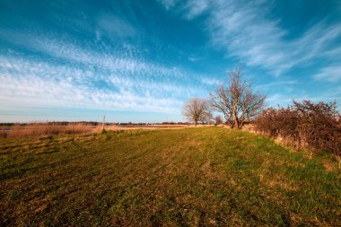 İshoj Danimarka 'nın doğal park alanı