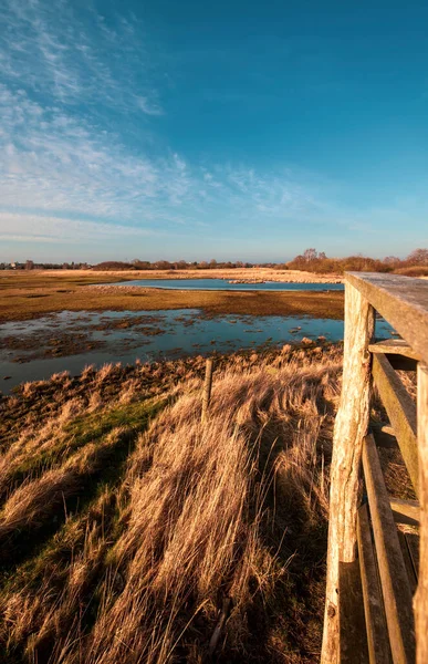 Parc Naturel Ishoj Danemark Par Une Journée Ensoleillée — Photo