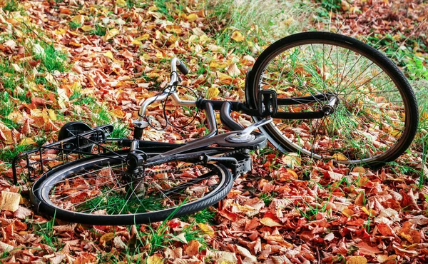 Rower Jesienią Liście Lesie — Zdjęcie stockowe