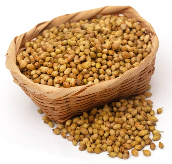 Whole Coriander White Background — Stock Photo, Image