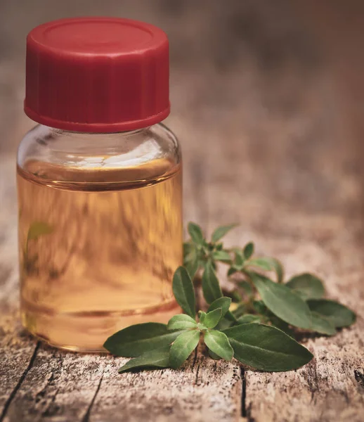 Bockshornkleeblätter Mit Der Flasche Vor Weißem Hintergrund — Stockfoto