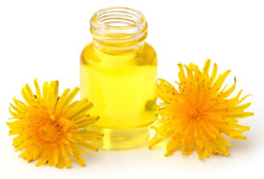 Şişede gerekli yağı olan tıbbi bir karahindiba.