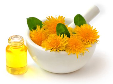 Tıbbi karahindiba ve morter ve tokmakla özüt. 