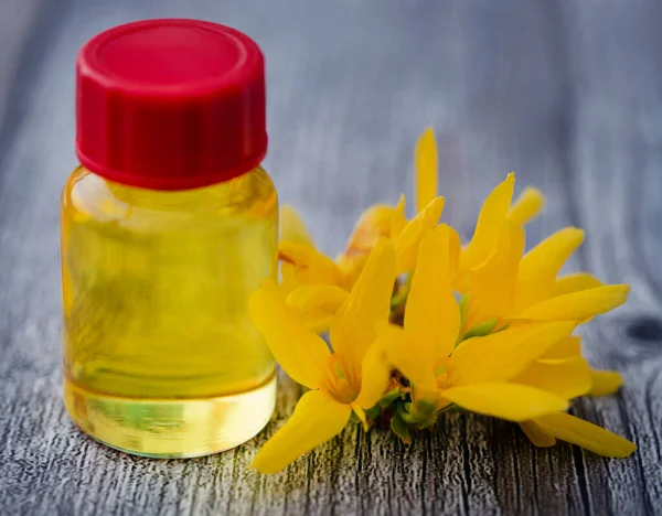 Forsythia Com Óleo Essencial Uma Garrafa Como Fitoterapia — Fotografia de Stock