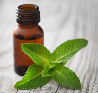 Şişede gerekli yağla birlikte nane yaprakları