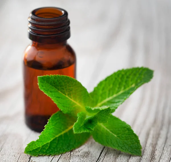 Hojas Menta Con Aceite Esencial Una Botella — Foto de Stock