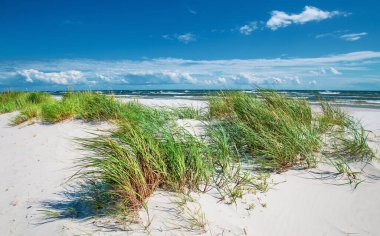 Dueodde, Danimarka, Bornholm 'ün güney sahilindeki beyaz kumlu plaj.