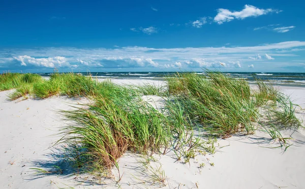 Dueodde Bílá Písečná Pláž Jižním Pobřeží Bornholmu Dánsko — Stock fotografie