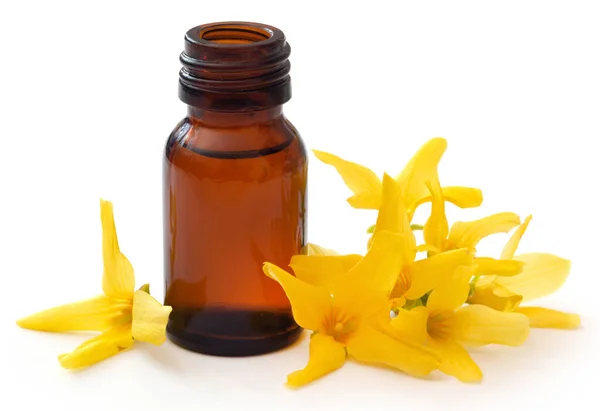 Forsythia Met Etherische Olie Een Fles Witte Achtergrond — Stockfoto