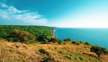 Danimarka 'nın Bornholm kentindeki Hammershus Kalesi' nin etrafındaki Rocky sahili.